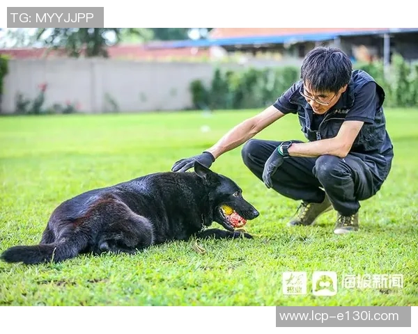 周磊专访揭秘羽毛球成功秘诀与训练心得分享